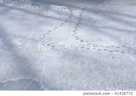 Winter mounds Winter water surface Winter mounds Winter water surface 41438772