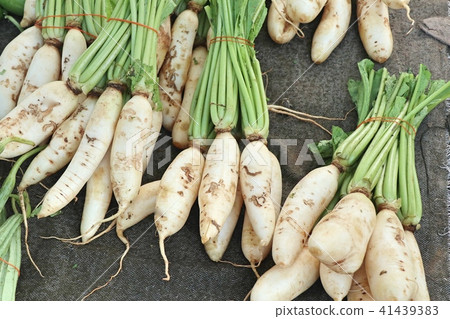 Fresh radish at street food 41439383