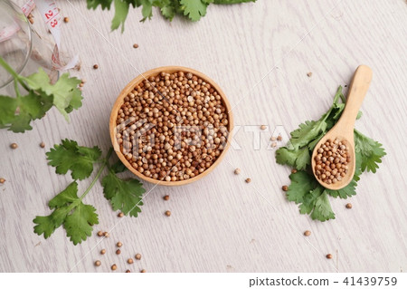 Coriander seeds and fresh 41439759