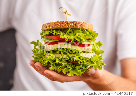 Big vegan sandwich with tofu and fresh vegetables Big vegan sandwich with tofu and fresh vegetables 41440117