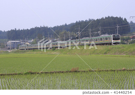 初夏的稻田和宇都宮線205系列8輛車（原京葉線車輛） 41440254