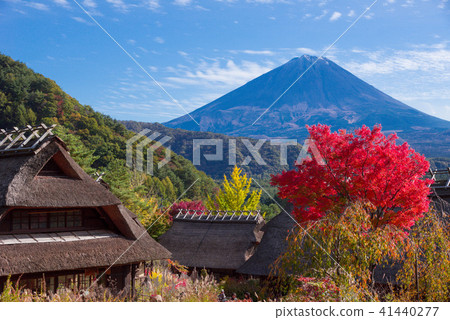 Thatched roofs and Mt. Fuji with autumn leaves Thatched roofs and Mt. Fuji with autumn leaves 41440277