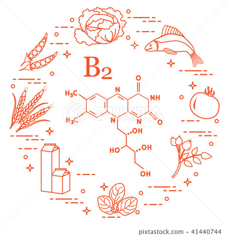 Foods rich in vitamin B2 Fish, peas and other. 41440744