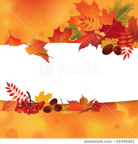 Fall leaf nature. Autumn leaves floral background Fall leaf nature. Autumn leaves floral background 41440801