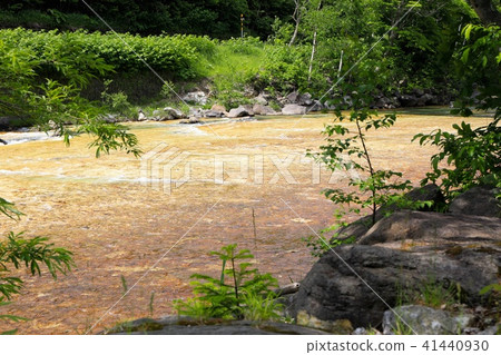 白色絲綢地板·Kitayuzawa溫泉 白色絲綢地板·Kitayuzawa溫泉 41440930