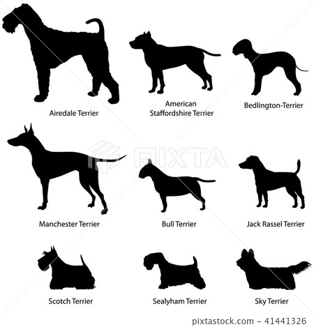 Dog set. Terrier Dog breed. Pet silhouette signs 41441326