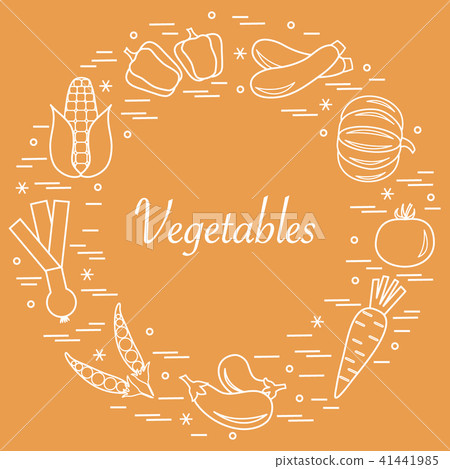different autumn seasonal vegetables arranged in a different autumn seasonal vegetables arranged in a 41441985