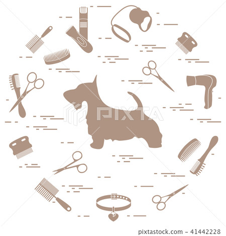 Scotch terrier silhouette, combs, collar, leash, 41442228