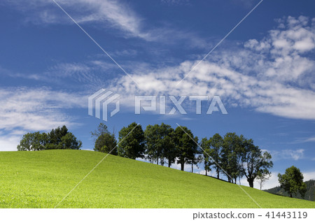 Landscape near Annaberg 41443119