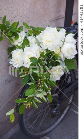 Early summer Paris peony bouquet bouquet Paris 6th district Odeon seat white green bouquet Early summer Paris peony bouquet bouquet Paris 6th district Odeon seat white green bouquet 41443281