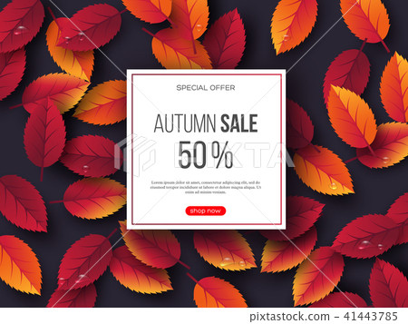 Autumn sale banner with 3d leaves and water drops. Violet background - template for seasonal 41443785