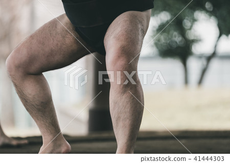 相撲 研修 訓練 41444303