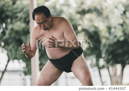 sumo, sumo wrestling, training 41444307