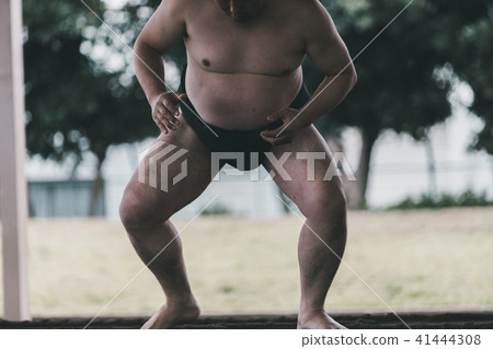 sumo, sumo wrestling, training 41444308