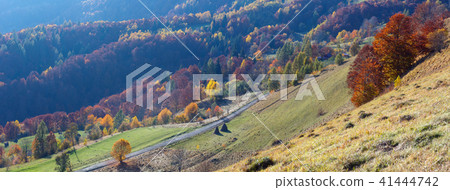 Dirty secondary road in autumn Carpathian mountain 41444742