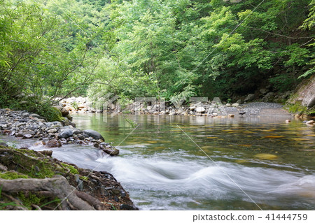 Karasugawa谷綠地(水邊區域)Azumino Karasugawa谷綠地(水邊區域)Azumino 41444759