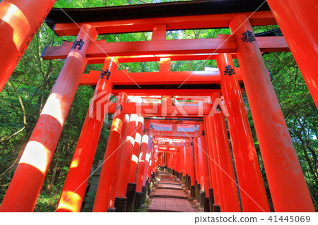 伏見稻荷神社Torigai 41445069