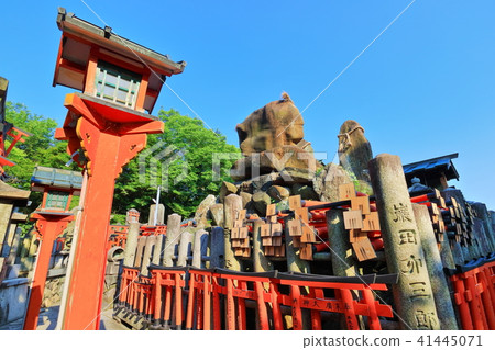 伏見稻荷新光 41445071