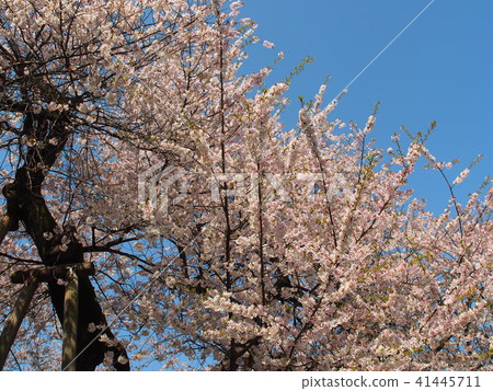 Ishido Kamakura Ishido Kamakura 41445711