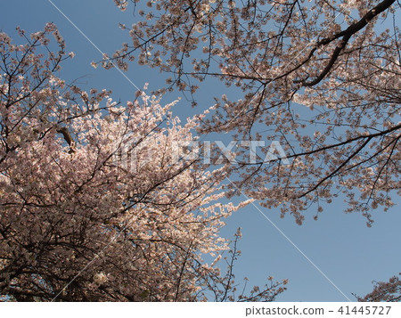 Ishido Kamakura Ishido Kamakura 41445727