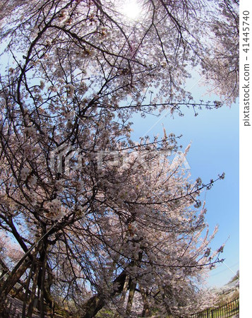 Ishido Kamakura Ishido Kamakura 41445740