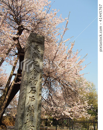 Ishido Kamakura Ishido Kamakura 41445767