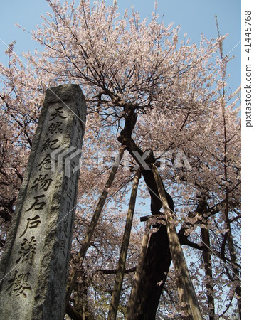 Ishido Kamakura Ishido Kamakura 41445768