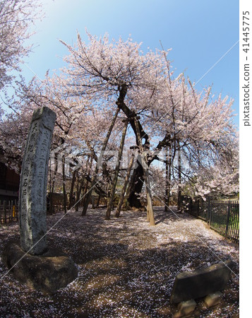 Ishido Kamakura Ishido Kamakura 41445775