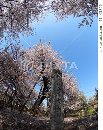 Ishido Kamakura 41445806