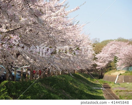 Ishido Kamakura Ishido Kamakura 41445848