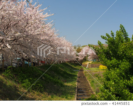 Ishido Kamakura Ishido Kamakura 41445851