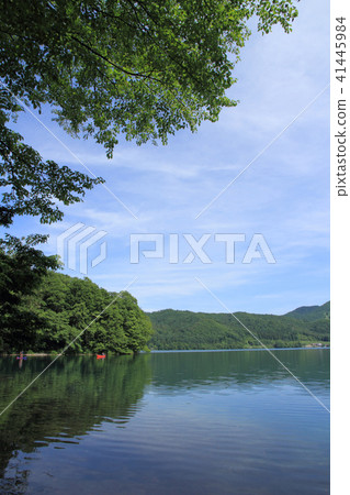 初夏的Aokigake 41445984