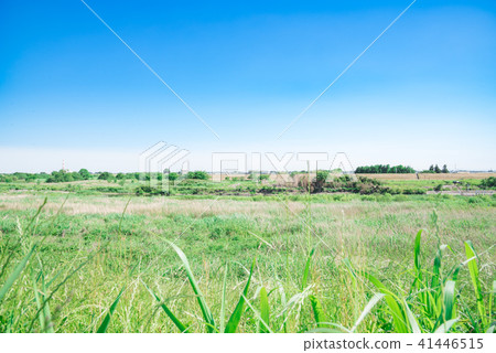 Country landscape 41446515