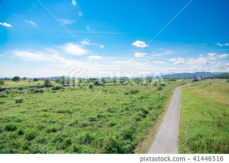 Country landscape 41446516
