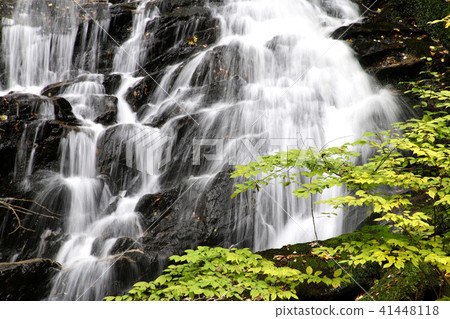 Falls of Jianglongda in autumn (Fukushima prefecture · Samekawa village) Falls of Jianglongda in autumn (Fukushima prefecture · Samekawa village) 41448118