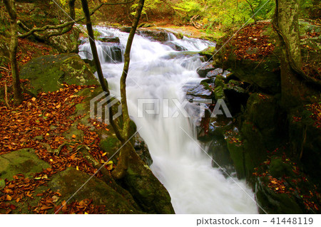 Falls of Jianglongda in autumn (Fukushima prefecture · Samekawa village) Falls of Jianglongda in autumn (Fukushima prefecture · Samekawa village) 41448119