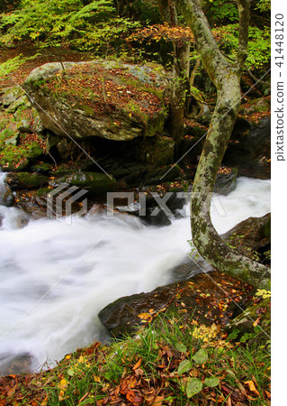Falls of Jianglongda in autumn (Fukushima prefecture · Samekawa village) Falls of Jianglongda in autumn (Fukushima prefecture · Samekawa village) 41448120