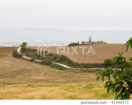 Pilgrims on the Camino - Pamplona 41448571