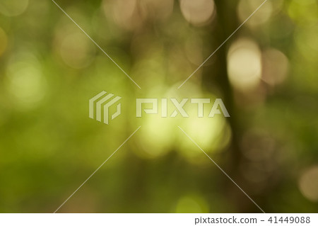 green bokeh abstract light Background 41449088