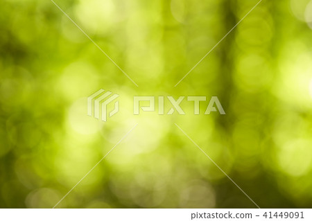 green bokeh abstract light Background 41449091