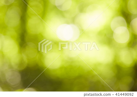 green bokeh abstract light Background green bokeh abstract light Background 41449092