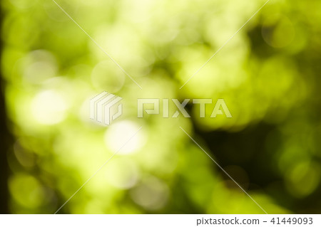 green bokeh abstract light Background 41449093