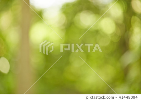 green bokeh abstract light Background 41449094