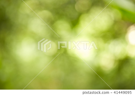 green bokeh abstract light Background 41449095