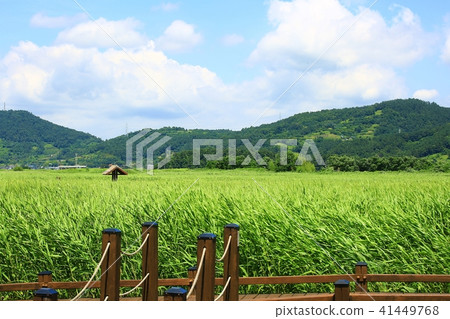 The gift of nature! The gift of nature! 41449768