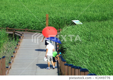 大自然的恩賜！ 41449776