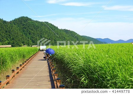 大自然的恩賜！ 41449778