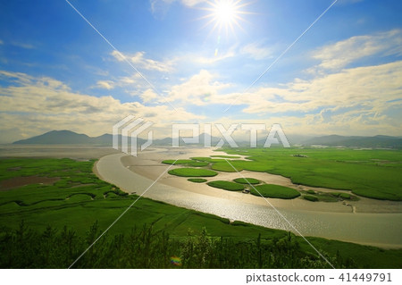 The gift of nature! 41449791