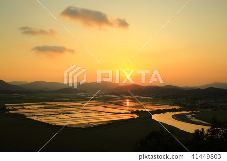 大自然的恩賜！ 41449803