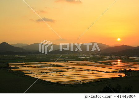 大自然的恩賜！ 41449804